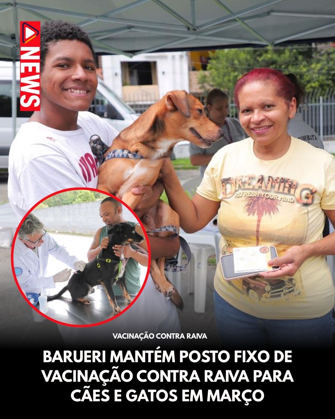 vacinação contra raiva Barueri